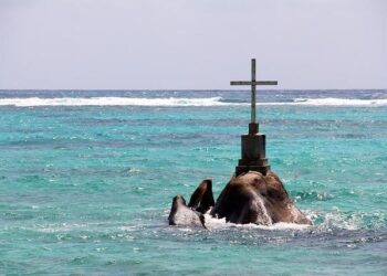 Seychelles Reviews Progress on Biodiversity Targets Ahead of Global Report – United Nations Development Programme