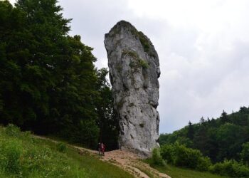 Ibrahim Maza (L) scores for Algeria in their win over Equatorial Guinea in Rabat – IslanderNews.com