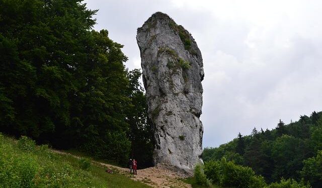 Ibrahim Maza (L) scores for Algeria in their win over Equatorial Guinea in Rabat – IslanderNews.com