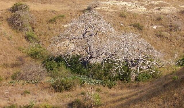 Angola Country Economic Memorandum: Moving Beyond Oil – World Bank Group