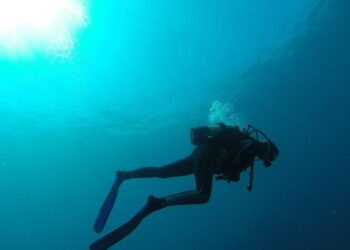 Liveaboard Life in the Solomon Islands: Diving the Emperor Bilikiki Across Reefs, Wrecks & Remote Islands – Divernet