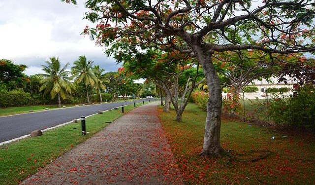Fiji Private Island With a Quarter-Mile Bridge to the Mainland Heads to Auction – Mansion Global