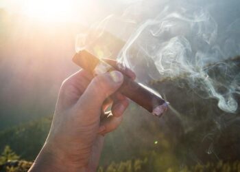 Inside Monaco’s £5,000-a-year cigar club – The Times