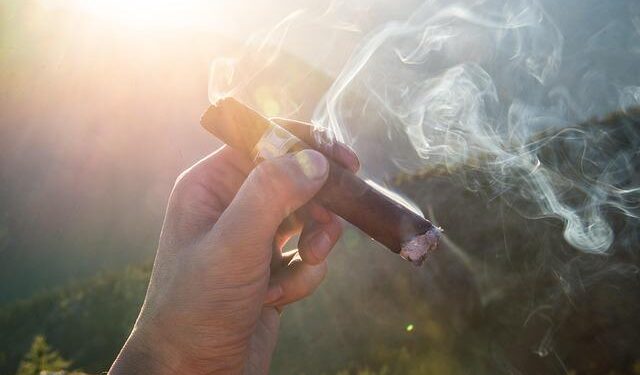 Inside Monaco’s £5,000-a-year cigar club – The Times