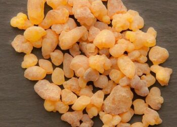 Why the world is running out of frankincense – BBC