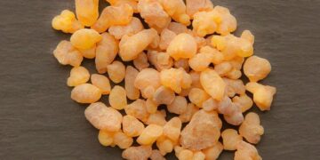 Why the world is running out of frankincense – BBC