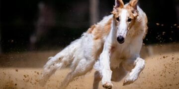 Chevy Chase Wants “Three Amigos” Reunion – Dark Horizons