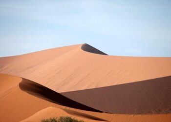 Namibia’s president appoints new mines, energy and industry minister – Reuters