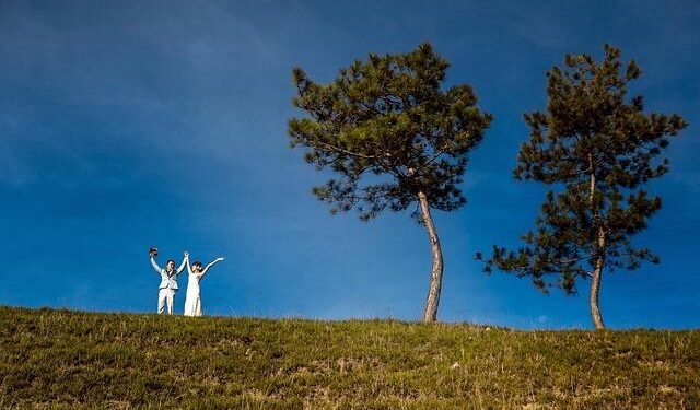 Bosnia and Herzegovina: Working Group finalizes Criminal Code amendments aligned with the UN Firearms Protocol – United Nations Office on Drugs and Crime