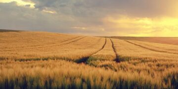 Africa poised to be the world’s fastest-growing region as the scramble for its valuable resources continues – new.finalcall.com