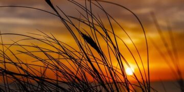 Europe has two months to decide whether it will defend Denmark from US attack – Gulf Stream Blues