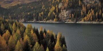 News: Nine journalists killed in #Africa in 2025 as #Eritrea remains continent’s biggest jailer – IFJ Africa recorded at least nine journalist killings in 2025, as 27 journalists remain jailed across the continent — three in #Ethiopia and seven in Eritrea