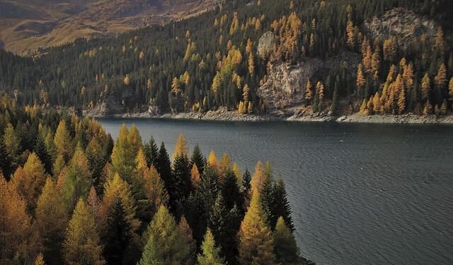 News: Nine journalists killed in #Africa in 2025 as #Eritrea remains continent’s biggest jailer – IFJ Africa recorded at least nine journalist killings in 2025, as 27 journalists remain jailed across the continent — three in #Ethiopia and seven in Eritrea