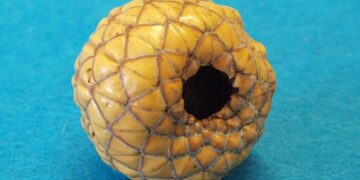 Vanuatu – AFD – Agence Française de Développement