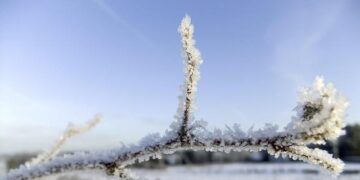 Fragility and the Rule of Law in New Caledonia – The Borgen Project