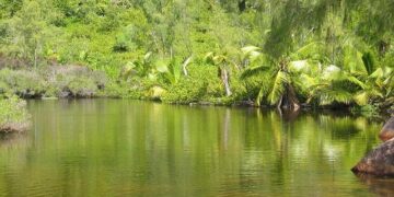 Seychelles – Coronavirus Pandemic Country Profile – Our World in Data