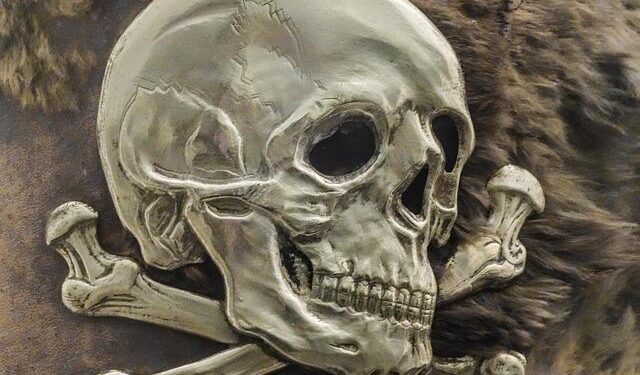 Plague in Madagascar: a new model sheds light on the seasonality of outbreaks | – Institut Pasteur