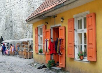 Estonia FM urges China to join US, European pressure on Putin – Reuters