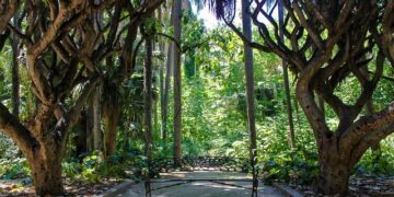 Algeria’s Boulbina scores screamer to set up Nigeria QF at AFCON – ESPN