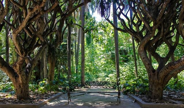 Algeria’s Boulbina scores screamer to set up Nigeria QF at AFCON – ESPN