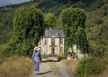 How mangrove restoration can safeguard the Solomon Islands – University of Wollongong – UOW