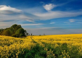 Poland removed as host of weightlifting championships for refusing Russian athletes – Notes From Poland