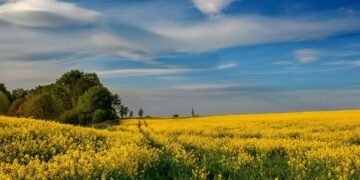 Poland removed as host of weightlifting championships for refusing Russian athletes – Notes From Poland