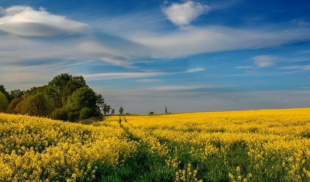 Poland removed as host of weightlifting championships for refusing Russian athletes – Notes From Poland