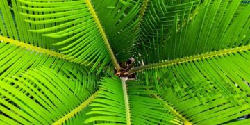 James Nesbitt struggled with Northern Ireland being seen as ‘place of conflict’ – Derry Now