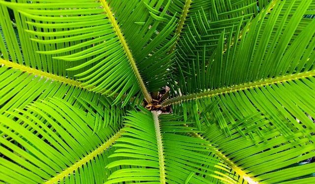James Nesbitt struggled with Northern Ireland being seen as ‘place of conflict’ – Derry Now