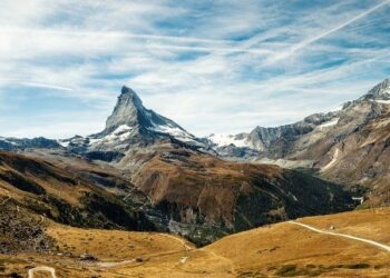 Unlocking the Secrets: The Surprising Drop in New Orphan Cases in This Country