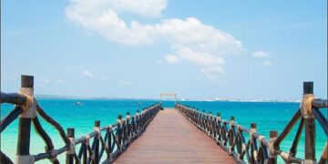 Heartbreaking Turmoil: Rising Casualties and Injuries in Tanzania’s Election Protests