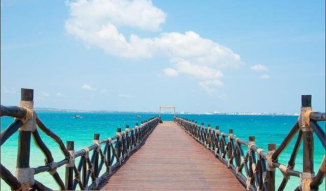 Heartbreaking Turmoil: Rising Casualties and Injuries in Tanzania’s Election Protests