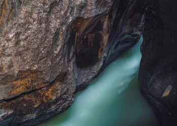 Mass Shooting Survivor Fights Back: Legal Action Against Bar Operator and Suspect