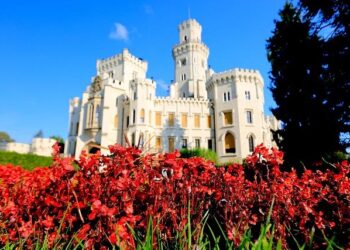 Desperate Times: The Ongoing Humanitarian Crisis in Southeast Central African Republic