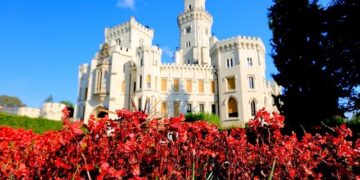 Desperate Times: The Ongoing Humanitarian Crisis in Southeast Central African Republic