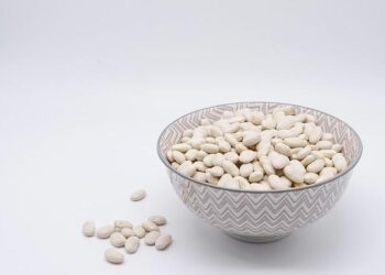 Transforming Nutrition: The Impact of Lab-Grown Proteins on a Sustainable Future in Europe