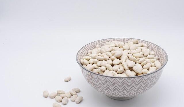 Transforming Nutrition: The Impact of Lab-Grown Proteins on a Sustainable Future in Europe