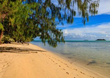 Palau Partners with the U.S. for Vital Deportation Discussions