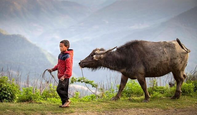 Tau Malolo Ha Niue: Empowering the Next Generation of Niue’s Leaders