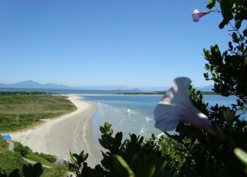 Mel Trotter Launches a Thrilling New Thrift Store Experience in Caledonia!