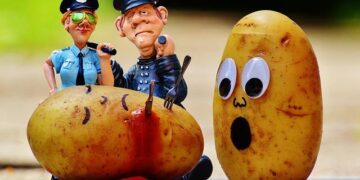 Unraveling the Mystery: Ewa Beach Shooting Sparks Intense Police Investigation