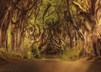 Navigating Tomorrow: The Ultimate A to Z Guide to Northern Ireland Politics in 2025