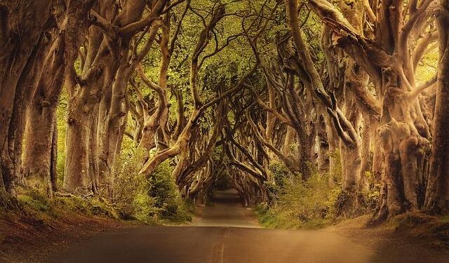 Navigating Tomorrow: The Ultimate A to Z Guide to Northern Ireland Politics in 2025