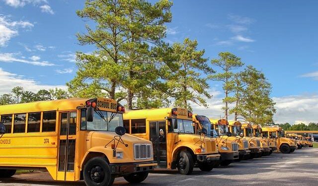 Transforming Travel: 14 Cutting-Edge E-Buses Take to the Streets of Eastern Switzerland and Liechtenstein!