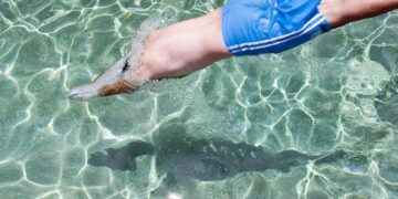 Patson Daka’s Spectacular Diving Header Earns Zambia a Dramatic Last-Minute Equalizer Against Mali!