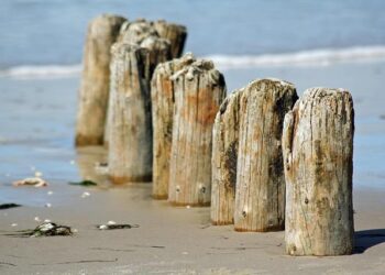 Nedbank’s Game-Changing Acquisition: Securing a Majority Stake in Kenya’s NCBA for $856 Million!