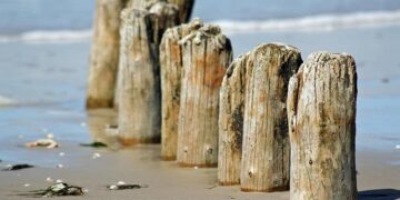 Nedbank’s Game-Changing Acquisition: Securing a Majority Stake in Kenya’s NCBA for $856 Million!