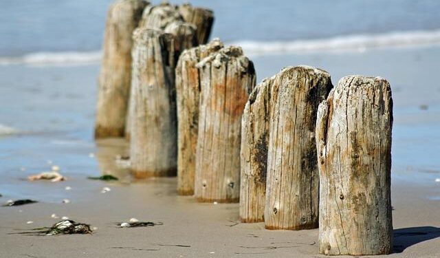 Nedbank’s Game-Changing Acquisition: Securing a Majority Stake in Kenya’s NCBA for $856 Million!