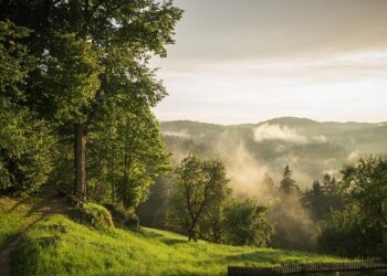 Julia Scheib Shines in Kronplatz Giant Slalom Victory!